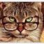 Profile picture djnoneya.bsky.social