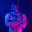 Profile picture pupartyyy.bsky.social