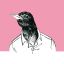 Profile picture venicello.bsky.social