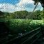 Profile picture cloverfield86.bsky.social