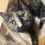 Profile picture jamielyn2648.bsky.social