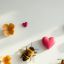 Profile picture beeniandbees.bsky.social