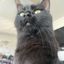 Profile picture annenotann.bsky.social