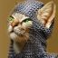 Profile picture newyorkwarrier.bsky.social