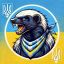 Profile picture rusni-pizda.bsky.social