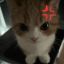 Profile picture ubiii09.bsky.social