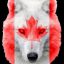 Profile picture poohyyc.bsky.social