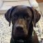Profile picture cbeaulier.bsky.social