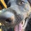 Profile picture takethenicexanax.bsky.social