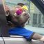 Profile picture ghosthardware05.bsky.social