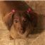 Profile picture debbie156.bsky.social
