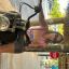 Profile picture christinebouysso.bsky.social