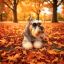 Profile picture joycomes.bsky.social