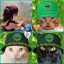 Profile picture lenaeday.bsky.social