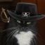 Profile picture gregmorosoff.bsky.social