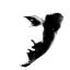 Profile picture humintel.bsky.social