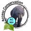 Profile picture accessconservation.bsky.social