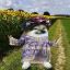 Profile picture lisaantifafella.bsky.social