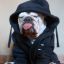 Profile picture migas7.bsky.social