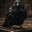 Profile picture crow123-74.bsky.social