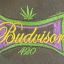 Profile picture budvisor420.bsky.social