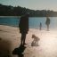 Profile picture robduncan.bsky.social