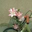 Profile picture 2tin-azl.bsky.social