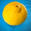 Profile picture lemondrivel.bsky.social