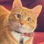 Profile picture jortsthecat.bsky.social