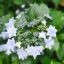 Profile picture estelle73.bsky.social