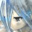 Profile picture killedfevermancer.bsky.social