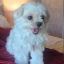 Profile picture nanascabana.bsky.social