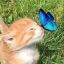 Profile picture rocky2026.bsky.social