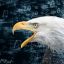 Profile picture wasisukeohogoe.bsky.social