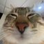 Profile picture qls78976.bsky.social