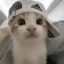 Profile picture isihyeon-0120.bsky.social