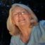 Profile picture pjs501.bsky.social