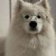Profile picture theimperialtour.bsky.social
