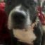 Profile picture miaandauggie.bsky.social