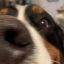 Profile picture leon-azl.bsky.social