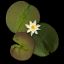 Profile picture kaewkan-sksn.bsky.social