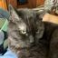 Profile picture leanne3.bsky.social
