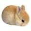 Profile picture sedrea-azl.bsky.social