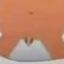 Profile picture trumps-tiny-peen.bsky.social