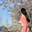 Profile picture martininghi.bsky.social