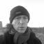 Profile picture steveplfc.bsky.social