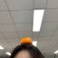Profile picture fjdldk.bsky.social