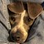 Profile picture plazter.bsky.social