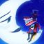 Profile picture alexrochonva.bsky.social