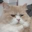 Profile picture prnprnprn.bsky.social